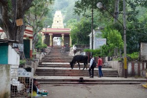Vers-le-temple-de-Kurubarahalli-à-Mysore.